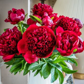Fresh Handmade Red Peonies Bouquet, 4 of 4