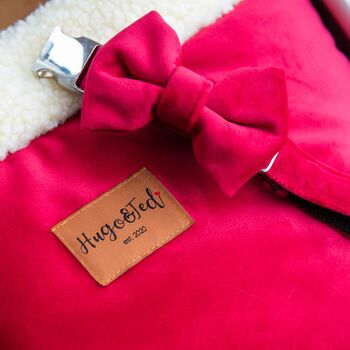 Velour Collar, Lead And Bow Tie Set, 2 of 6