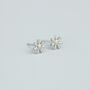 Sterling Silver Simple Daisy Flower Stud Earrings, thumbnail 2 of 5