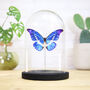 Helena Morpho Butterfly Insect Bug Entomology Taxidermy Bell Jar, thumbnail 1 of 4