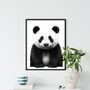 Panda A4 Nursery Wildlife Print, thumbnail 1 of 4
