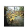 Winter Leaves, Suffolk Photographic Art Print, thumbnail 3 of 4