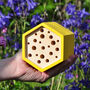 Father's Day Bee House Gift Set, thumbnail 5 of 6