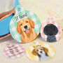 Dog Name ID Tag Personalised Spring Gingham, thumbnail 1 of 12
