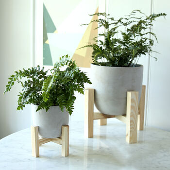 Concrete Planter With Wooden Stand, 2 of 2