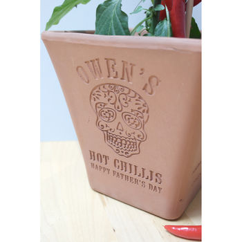 Engraved Mexican Skull Chilli Pot And Seeds, 3 of 6