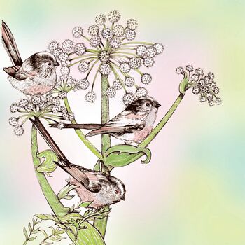 'Long Tailed Tits And Angelica' Print, 3 of 3