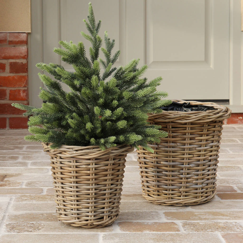 Round Rattan Planter, 1 of 5