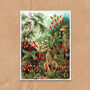 Botanical Moss And Ferns Vintage Style Art Print, thumbnail 3 of 4