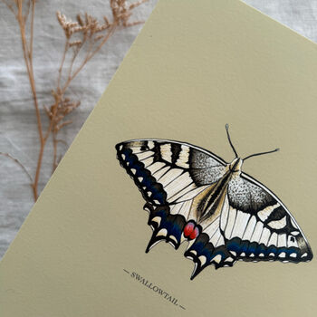Vintage Feel Butterfly Art Print, 10 of 10