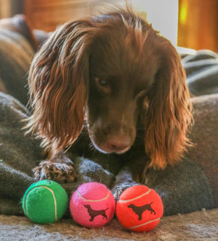 Spaniel Dog Tennis Balls, 4 of 5