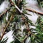 Personalised Family Christmas Hanging Decoration, thumbnail 2 of 2