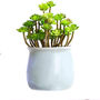 Set Of Six Ceramic Mini Planters, thumbnail 2 of 4