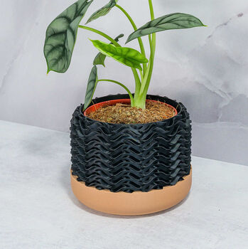 Carbon Tidal Planter, 4 of 4