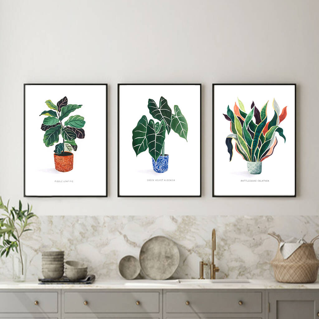 Mix And Match Set Of Three Fine Art Giclee Plant Prints, 1 of 2