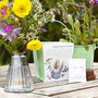 Grow Your Own Wildflower Bouquet And Vase Gift Set, thumbnail 1 of 12