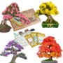 Grow Your Own Bonsai Tree Houseplant Gift Set, thumbnail 1 of 6