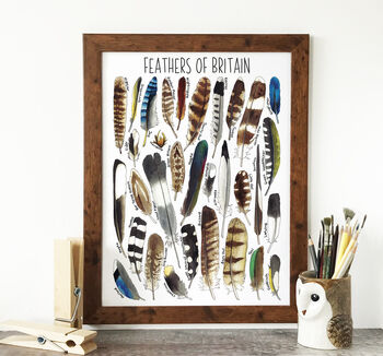 Feathers Of Britain Wildlife Watercolour Print, 6 of 8
