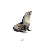 Seal Personalised Watercolour Fine Art Print, thumbnail 3 of 5