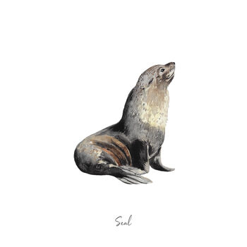 Seal Personalised Watercolour Fine Art Print, 3 of 5