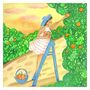 Orange Picking | Illustrated Print, thumbnail 4 of 4