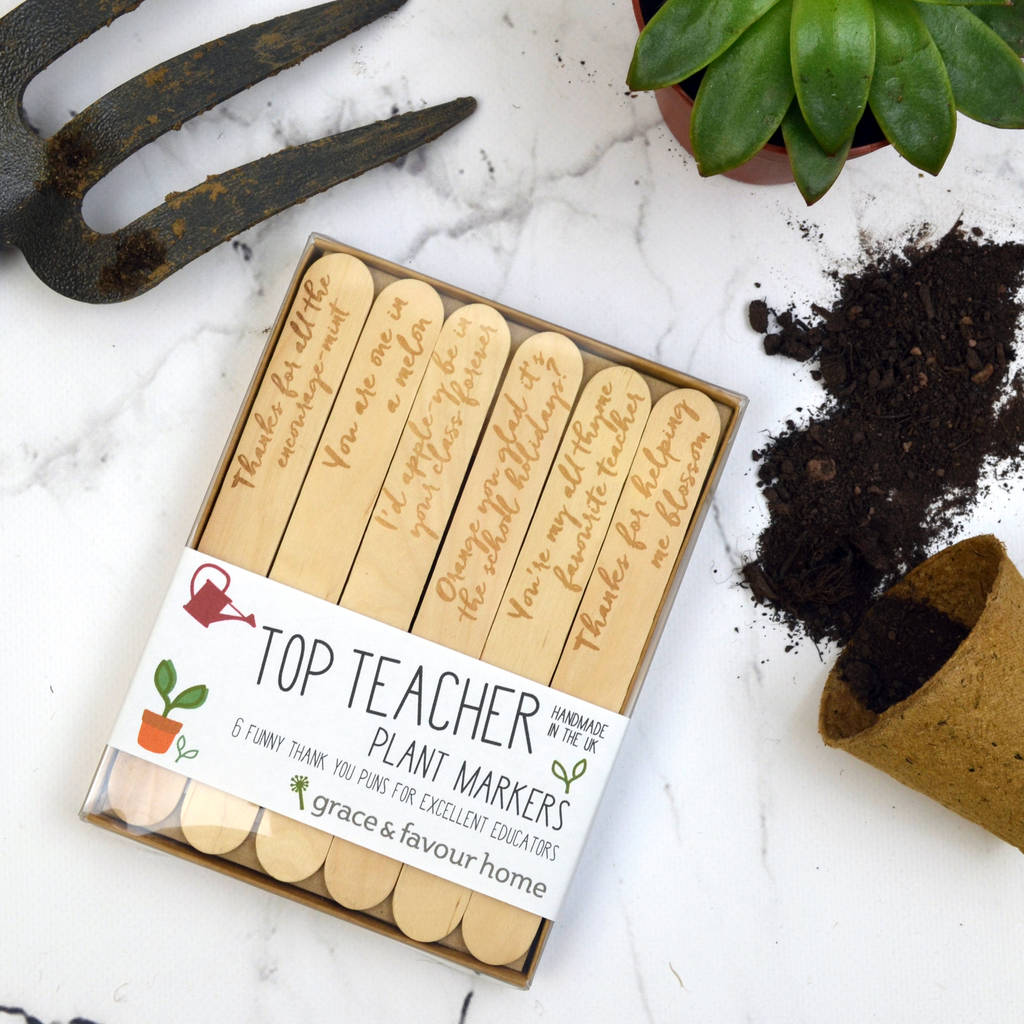 Personalised Best Teacher Plant Marker Gift Set By Grace & Favour Home