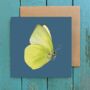 Brimstone Yellow Illustrated Butterfly Blank Card, thumbnail 1 of 3