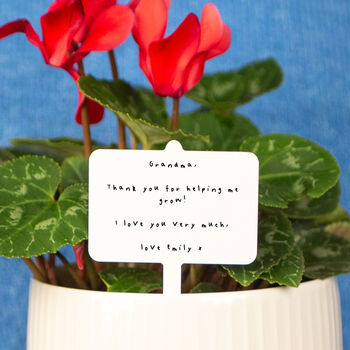 Personalised Mother's Day Child's Message Plant Marker, 4 of 7
