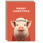 Cute Pig Wearing A Santa Hat And Cardigan Christmas Card, thumbnail 1 of 4