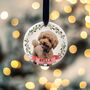 Personalised First Christmas Dog Bauble Tree Decoration, thumbnail 6 of 12