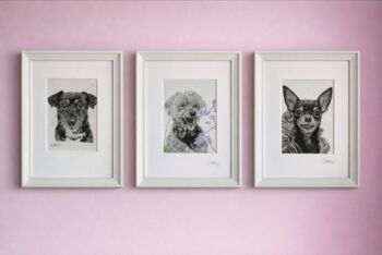 Original Charcoal Pet Head Portrait, 5 of 6