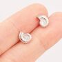 Sterling Silver Ammonite Shell Stud Earrings, thumbnail 4 of 11