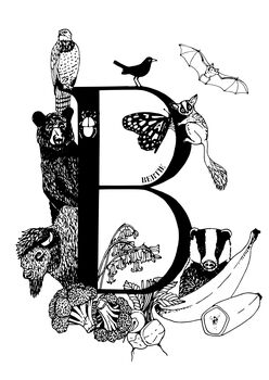 Alphabet Print 'B Is For', 2 of 8