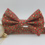 Red And Gold Holly Christmas Dog Bow Tie, thumbnail 6 of 12
