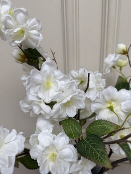 Cherry Blossom, 3 of 3