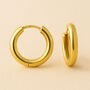 Gold Plated Sterling Silver Chunky Hoop Earrings, thumbnail 1 of 6
