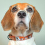 Orange Cartoon Dogs Print Dog Collar, thumbnail 1 of 8