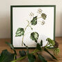 Seasonal Winter Berries Botanical Art Cards Set Of Four, thumbnail 3 of 5