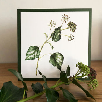 Seasonal Winter Berries Botanical Art Cards Set Of Four, 3 of 5
