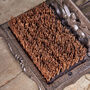 Iron Garden Boot Brush And Scraper, thumbnail 4 of 6