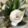 Real Feel Faux Peony Off White Stem, thumbnail 5 of 5