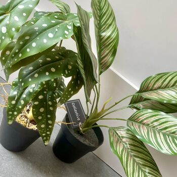 Artificial Potted Leafy Plant, 5 of 5