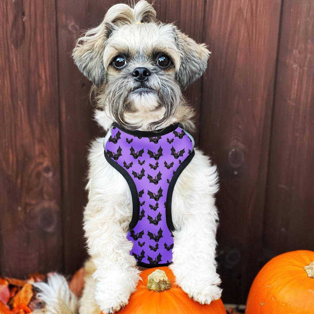 Spooky Halloween Dog Harness Costume Bats