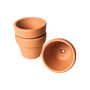 Small Terracotta Flower Pots, Set Of Three, thumbnail 5 of 10