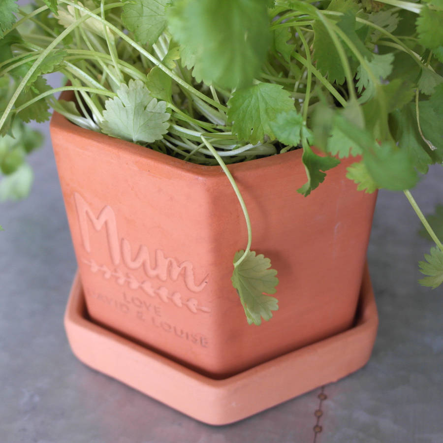 personalised hexagonal herb pot and tray by letterfest