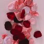 Valentine Silk Petal Fabric Table Scatter, thumbnail 2 of 4