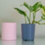 Personalised Name Plant Pot With Optional Inner Pot, thumbnail 2 of 8