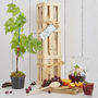 Grow Your Own Sangria Gift Crate, thumbnail 1 of 11