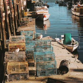 Hoy Dawn At The Docks Beanie Merlot, 4 of 4