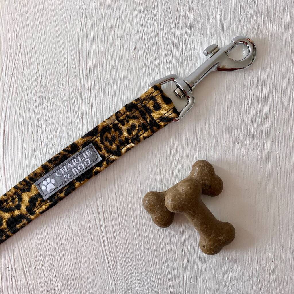 Leopard Print Dog Collar And Lead Leash Set By Charlie And